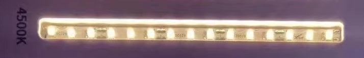 New 12V 120led/m led strips 50Meters/roll IP20