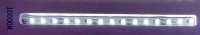 New 12V 120led/m led strips 50Meters/roll IP20