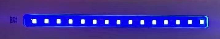 New 12V 120led/m led strips 50Meters/roll IP20