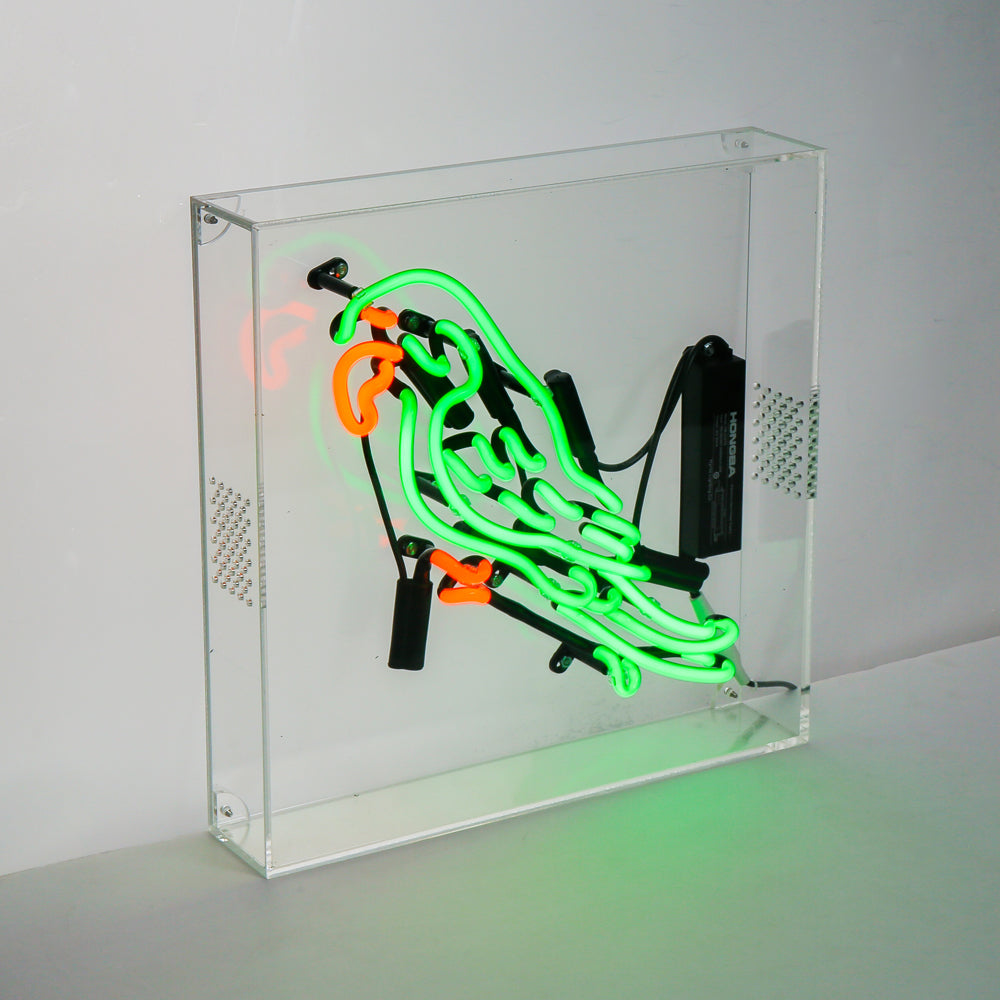 parrot bird neon sign,home decoration neon sign,glass neon tube sign in box