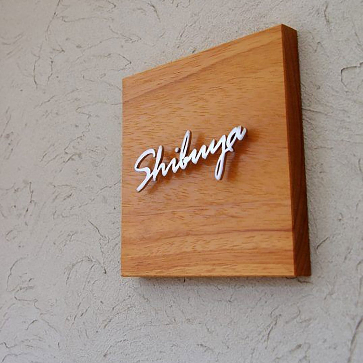 Silver aluminum brushed cut letters door front decorative solid letters business wall logo signage