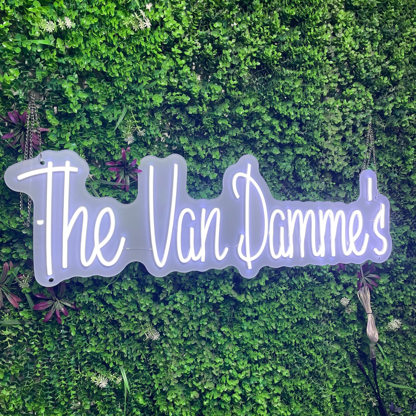 The Van Damme's