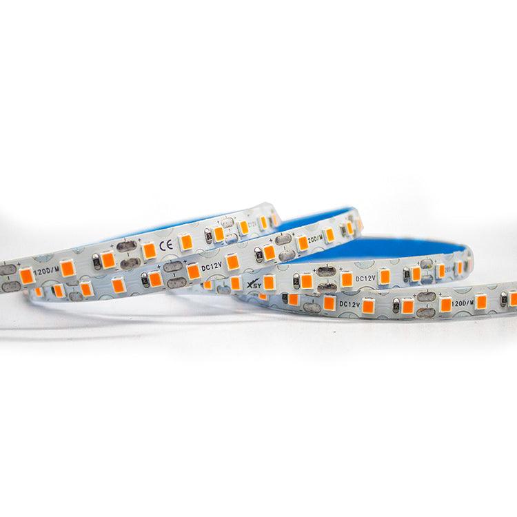 Waterproof IP65 New 12V 120led/m led strips 50Meters/roll