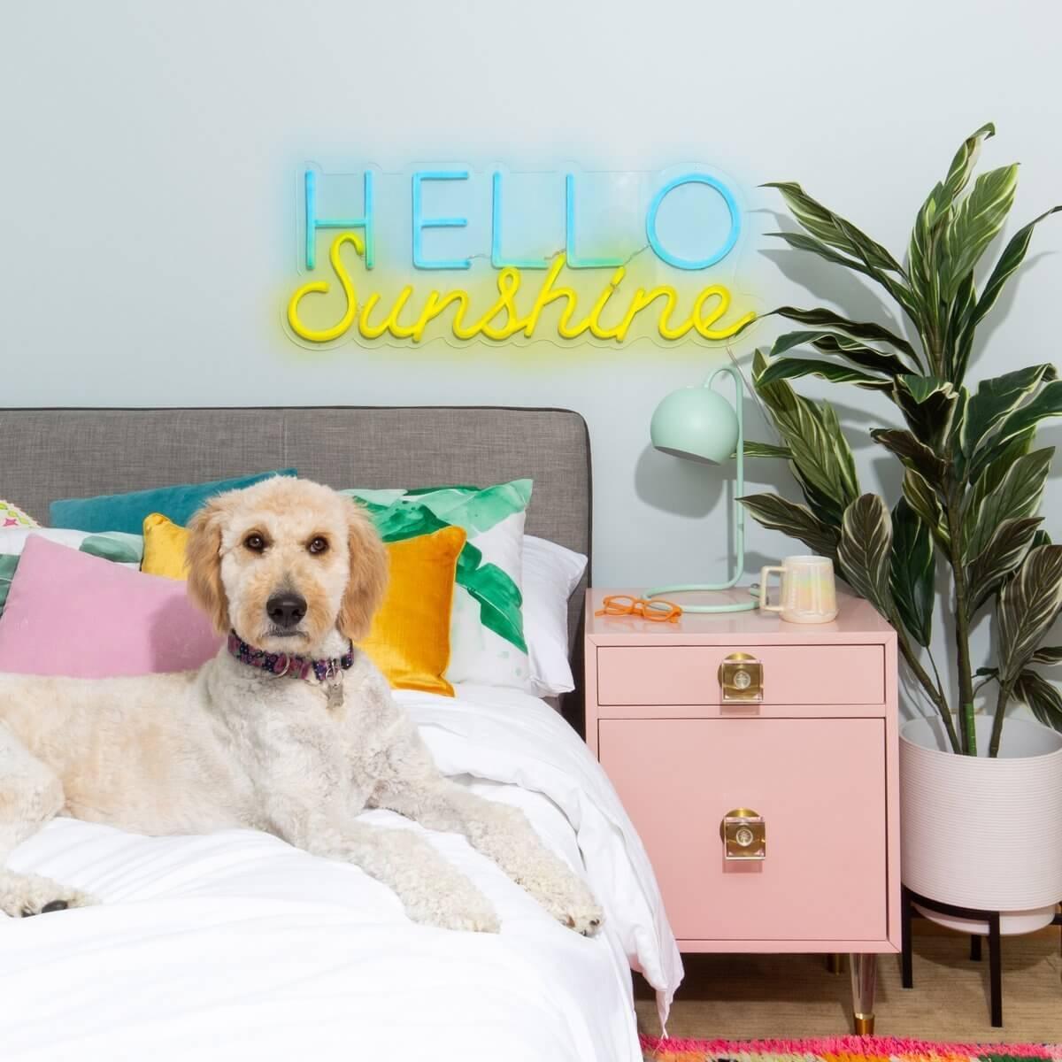 HELLO SUNSHINE neon signs