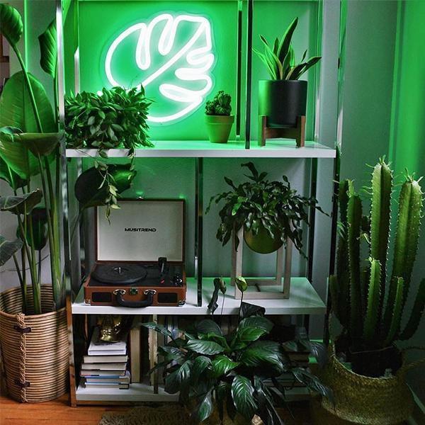 MONSTERA LEAF neon signs