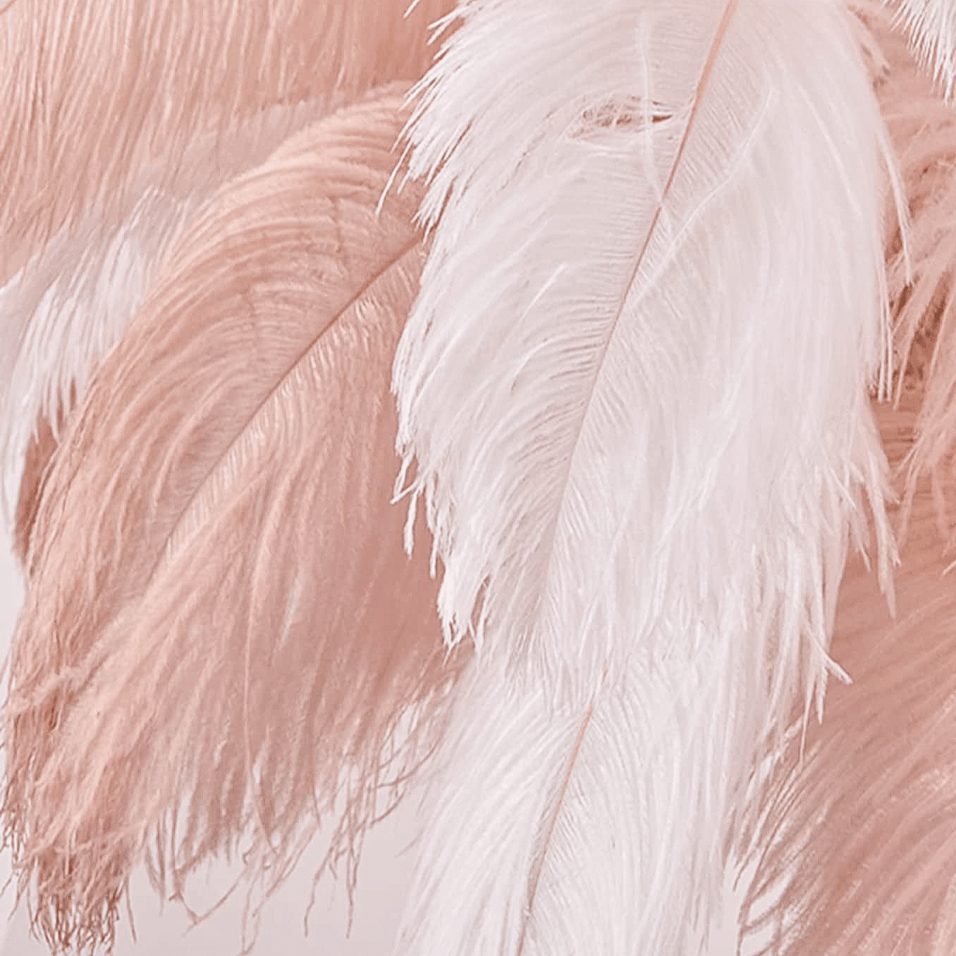 Ostrich Feather Floor Lamp