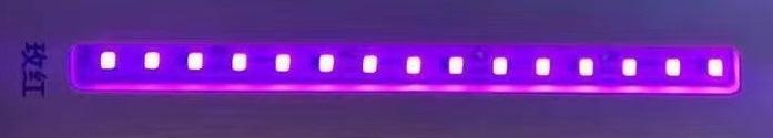 Waterproof IP65  New 12V 120led/m led strips 50Meters/roll
