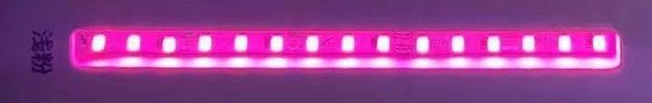 Waterproof IP65  New 12V 120led/m led strips 50Meters/roll