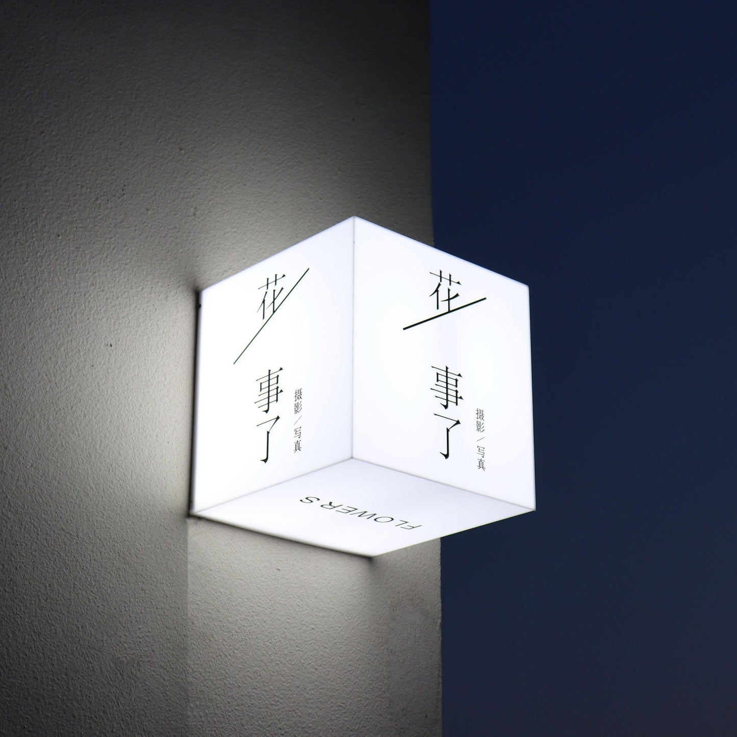 Custom Shop Signboard Acrylic Light Box Whole Illuminated Durable Wall Mounted Lightbox Sign