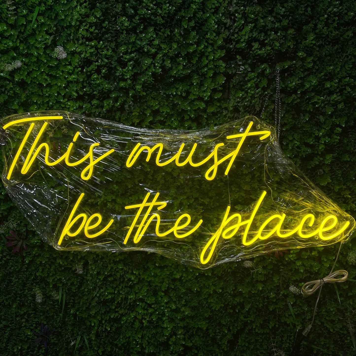 This must be the place